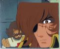 celhazard-img600x491-1127106282d2.jpg