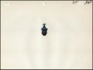 howdy_com-img600x452-111685853223may25.jpg
