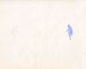 sonic_rs40-img580x463-1179925878999_02.jpg