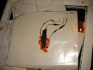 taiyou6111-img600x451-11306768659991.jpg